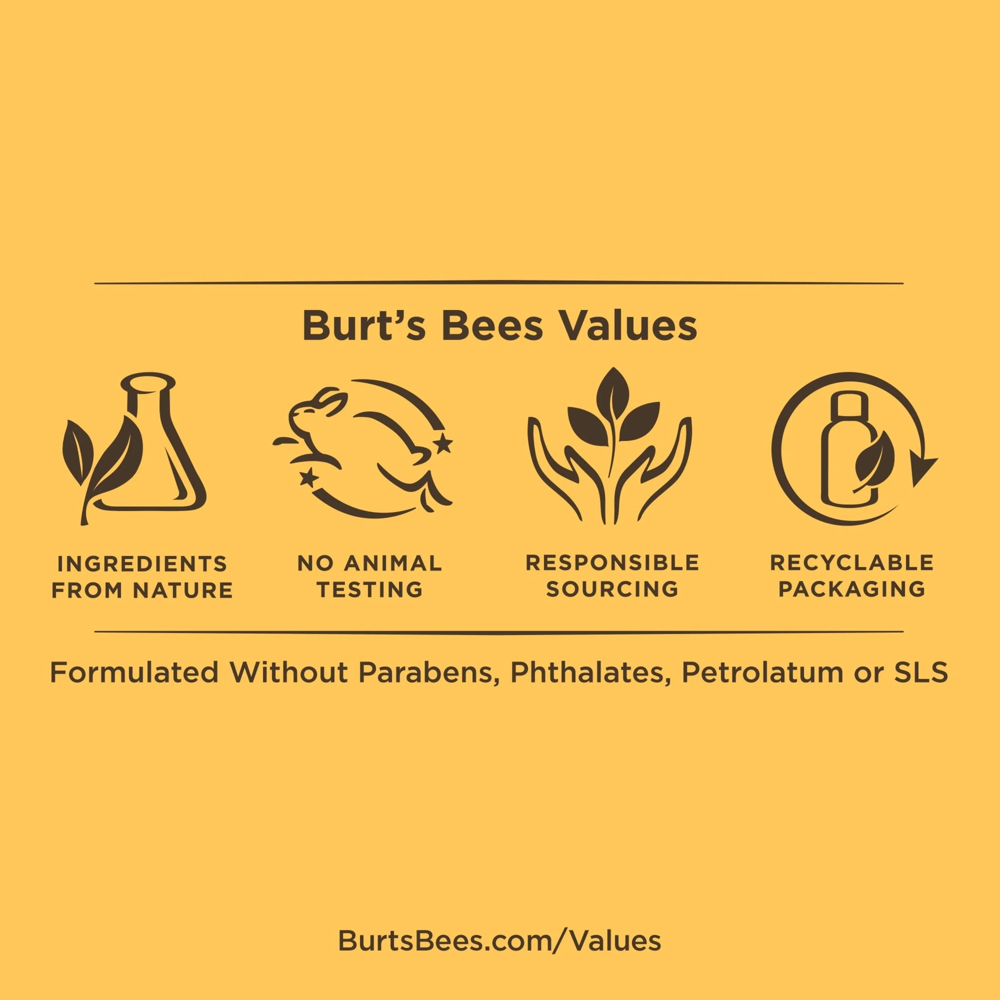 Burt'S Bees Facial Cleansing Towelettes, Cucumber and Sage, 30 Ct