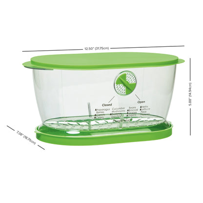 Prep Solutions Lettuce Keeper – Produce Storage Container
